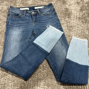 Anthropology Jeans Pilcro & the Letterpress skinny high waisted denim 11015